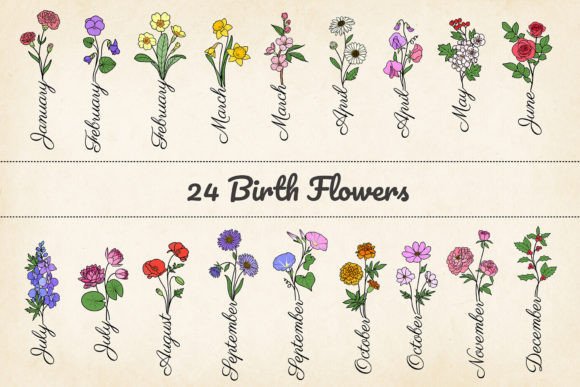 Elegant Botanicals: 24 Minimalist Birth Month Flowers, SVG