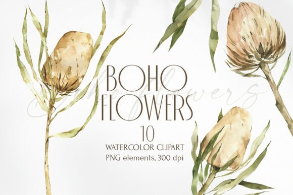 Elevate Your Projects with Watercolor Banksia Floral Clipart